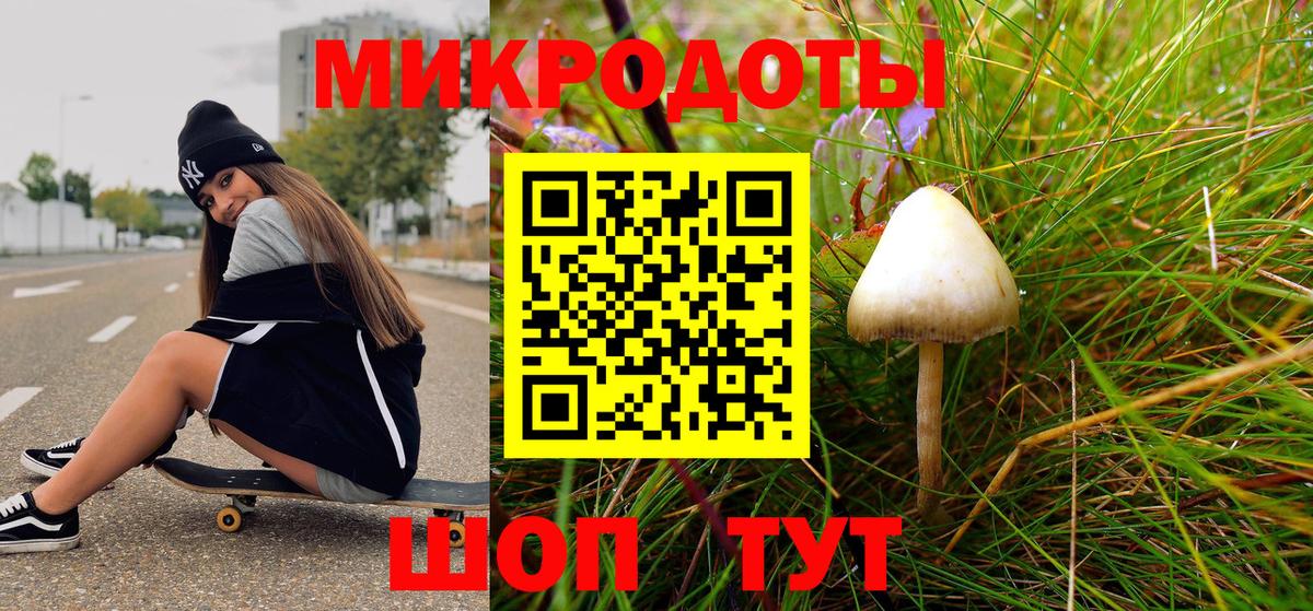 Псилоцибиновые грибы мухоморы  Вход с VPN  цена наркотик  Мичуринск 